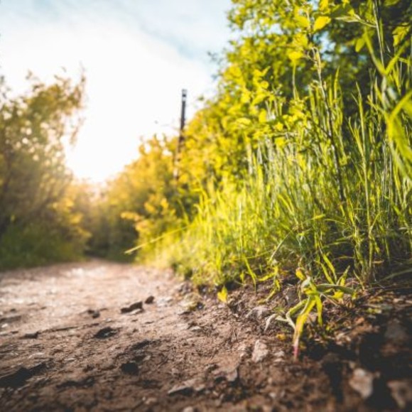 Meet your Posher, Adam - Picture 1 of 1